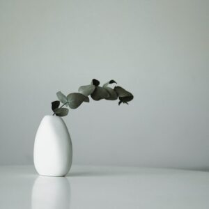 white ceramic vase with flower